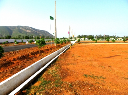 9) Li Id : 150 - Pic : 10.JPG